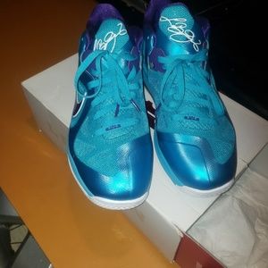 Lebron hornet lows